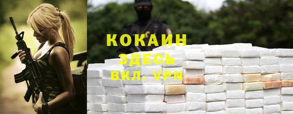 мескалин Тавда