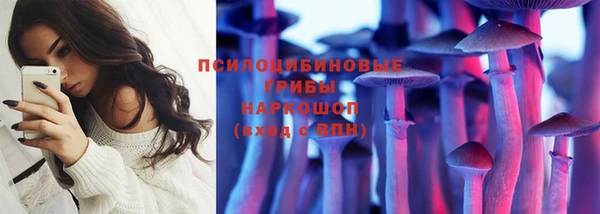мет Тайга