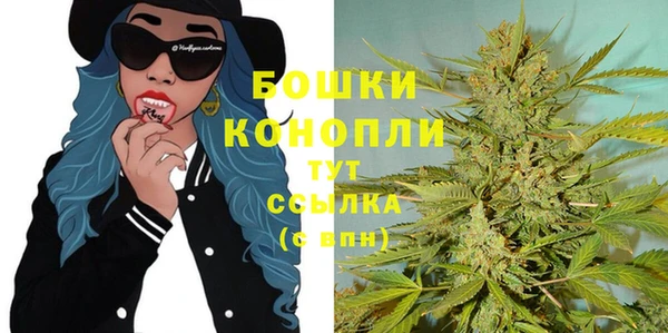 первитин Пионерский